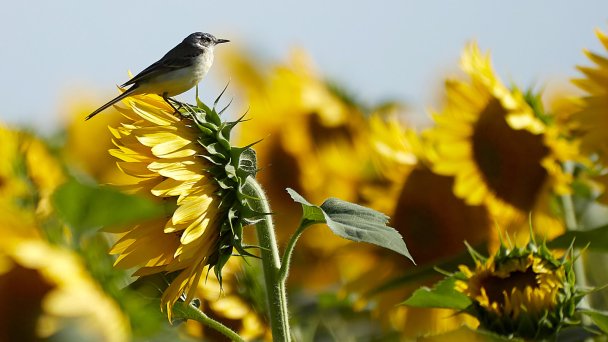 Фото Ивана Высочинского / ТАСС