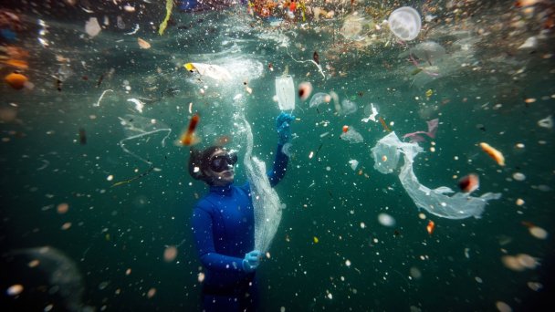 Фото Sebnem Coskun / Anadolu Agency via Getty Images