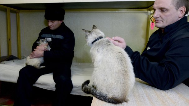 Фото Льва Федосеева / ИТАР-ТАСС