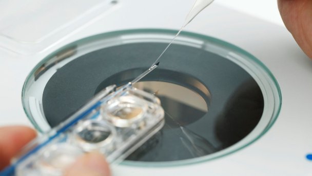 Фото IVF Store