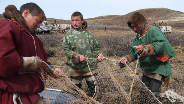 Фото Доната Сорокина / ТАСС