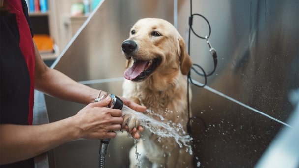 Фото Getty Images