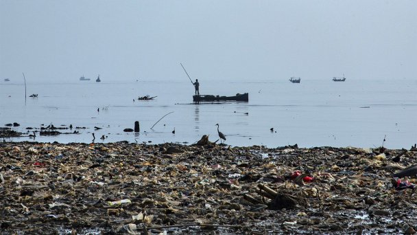 Фото Ed Wray / Getty Images