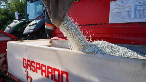 Фото Эрика Романенко / ТАСС