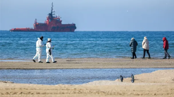 Уборка мазута в Краснодарском крае после разлива в Черном море (Фото Дмитрия Феоктистова / ТАСС)