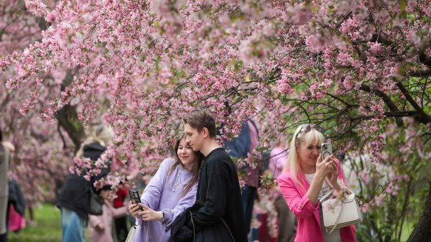Фото Артура Новосильцева / Агентство «Москва»