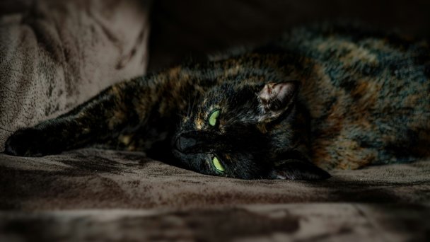 Фото Pierre-André Wascheul / Unsplash