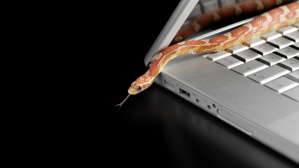 Фото Getty Images