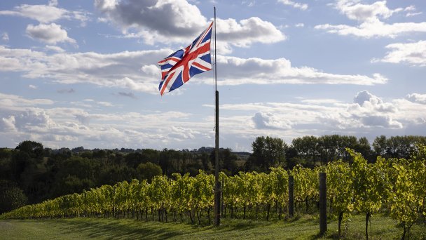 Саутгемптон, Англия (Фото Dan Kitwood / Getty Images)