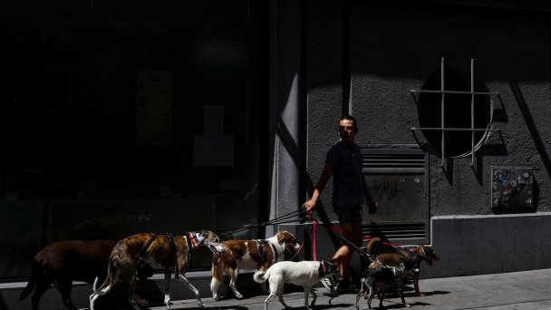 Фото Violeta Santos Moura / Reuters
