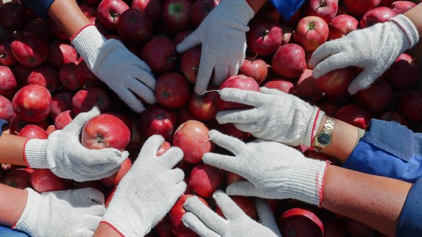 Фото Эрика Романенко / ТАСС