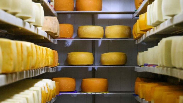 Фото Алексея Коновалова / ТАСС