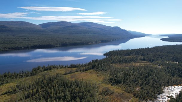 «Вдоль озера» (Лапландский заповедник, Мурманская область) (Фото DR)