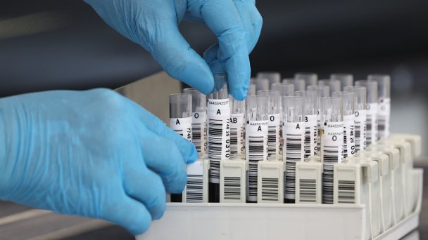 Фото Софьи Сандурской / ТАСС