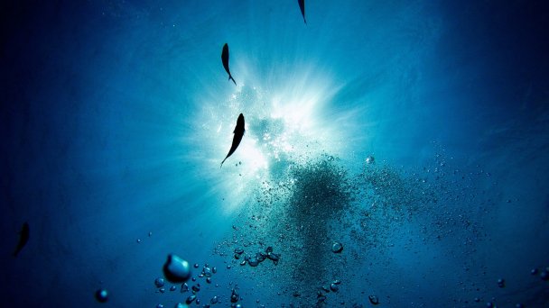 Фото Max Gotts / Unsplash