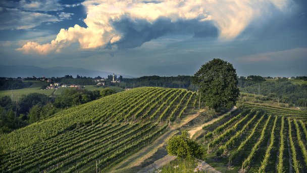 Тоскана, Италия (Фото Getty Images)