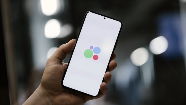 Михаила Гребенщикова / РБК