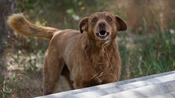 Фото Сергея Мальгавко / ТАСС