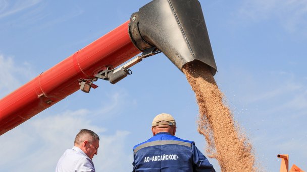 Уборка урожая пшеницы (Фото Дмитрия Рогулина / ТАСС)