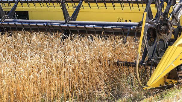 Фото Дмитрия Рогулина / ТАСС