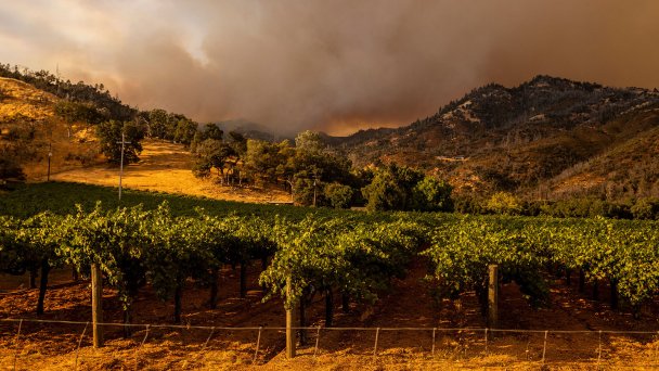 Пожар в округе Напа, Калифорния (Фото AP / TASS)
