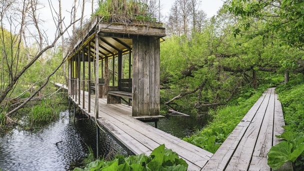 Александр Бродский. Мост с крышей. На мосту можно задержаться и почитать книги о путешествиях (Фото Ксении Инверс для Forbes)
