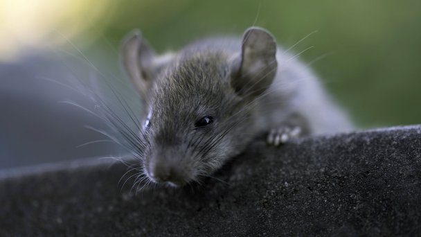 Фото Getty Images