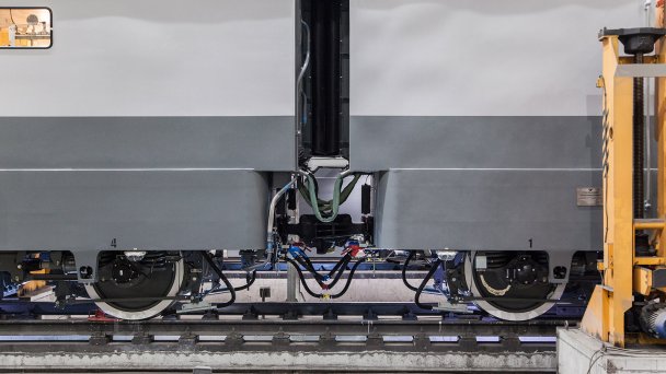 Фото Федора Телкова для Forbes