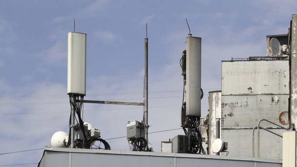 Фото Михаила Метцеля / ТАСС