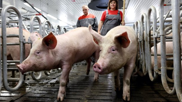 Фото Александра Реки / ТАСС