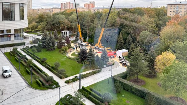 Фото shakko_kitsune / Telegram