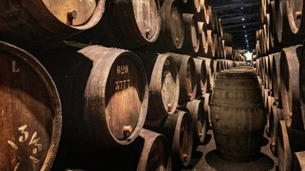 Фото Svetlana Gumerova / Unsplash