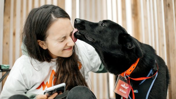 Фестиваль Woof (Фото DR)