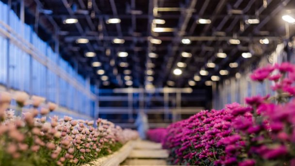 Фото ГК «Горкунов»