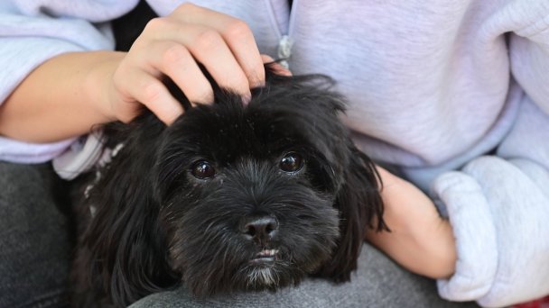 Фото Сергея Киселева / Агентство «Москва»