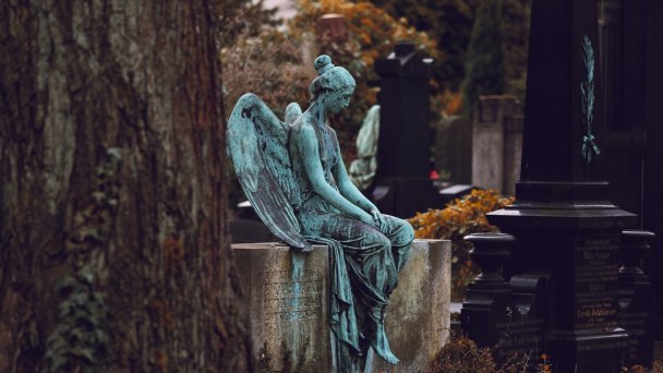 Фото Veit Hammer / Unsplash