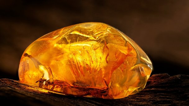 Фото: Shutterstock