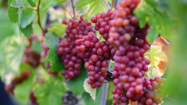 Фото Getty Images