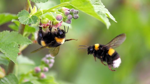 Фото Getty Images