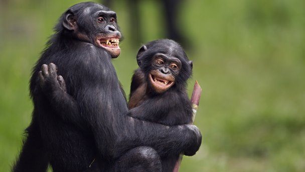 Фото Getty Images