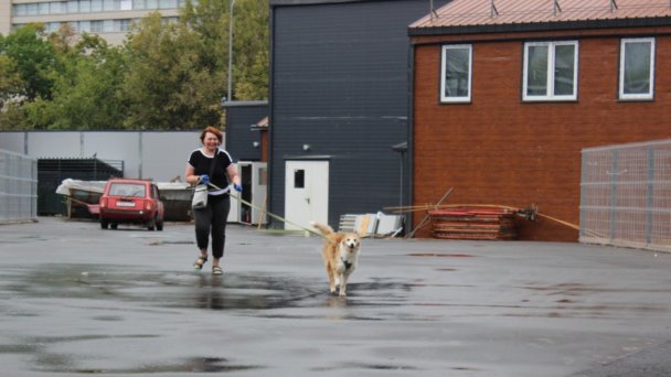 Приют «Дубовая роща» (Фото Евгении Федоровой / АСИ)