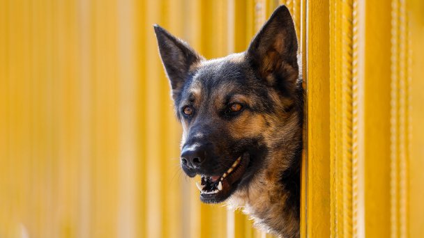 Фото Артема Геодакяна / ТАСС