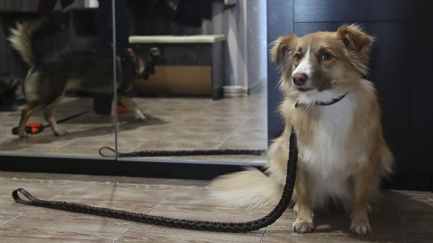 Фото Кирилла Кухмаря / ТАСС