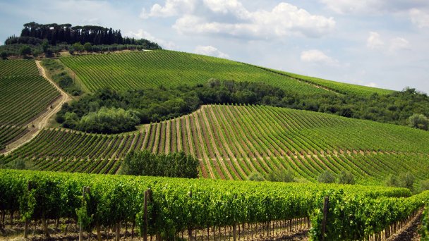 Фото Jonathan Skule / Unsplash