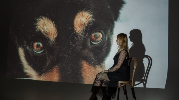 Акция «Осторожно, хрупко» (Фото DR)