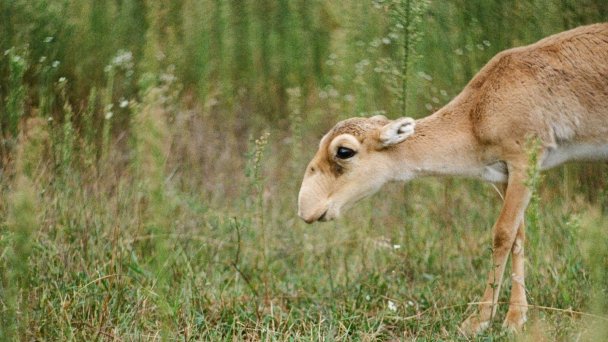 Фото Dasha Urvachova / Unsplash