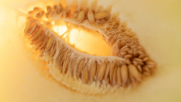 Фото Getty Images