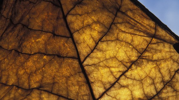 Фото Getty Images