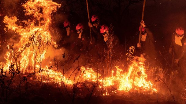 Лесной пожар в Забайкальском крае в 2025 году (Фото Getty Images)
