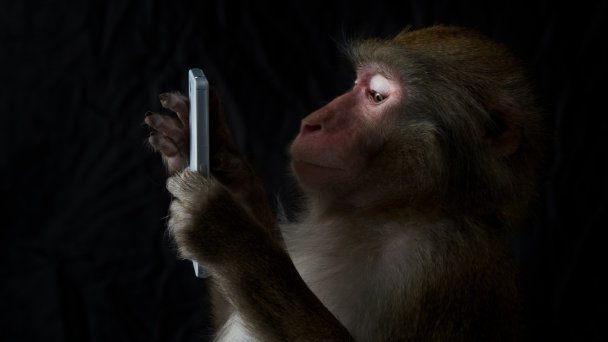 Фото Getty Images